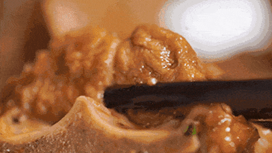 它含18種氨基酸，比肉還鮮！ 小寒後多吃，頭腦聰明，個頭長得快