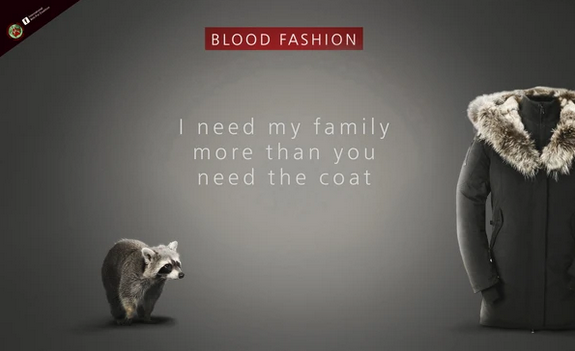 A major process in the fashion industry, will the UK become the first country in Europe to ban the sale of fur?