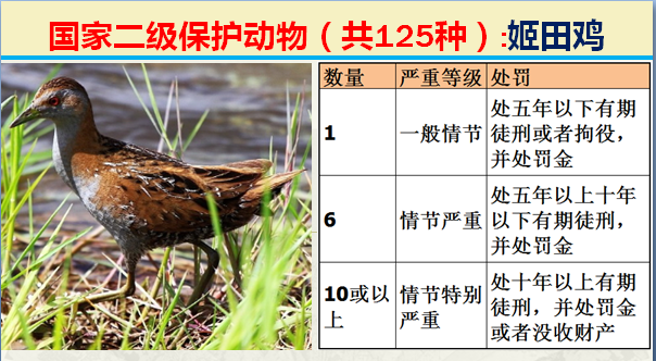 国家最新125类二级野生保护名录，图片及违法对应刑责