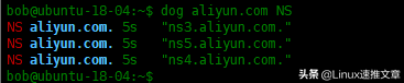 Dog-用于DNS查询的命令行工具