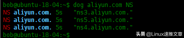 Dog-用于DNS查詢的命令行工具