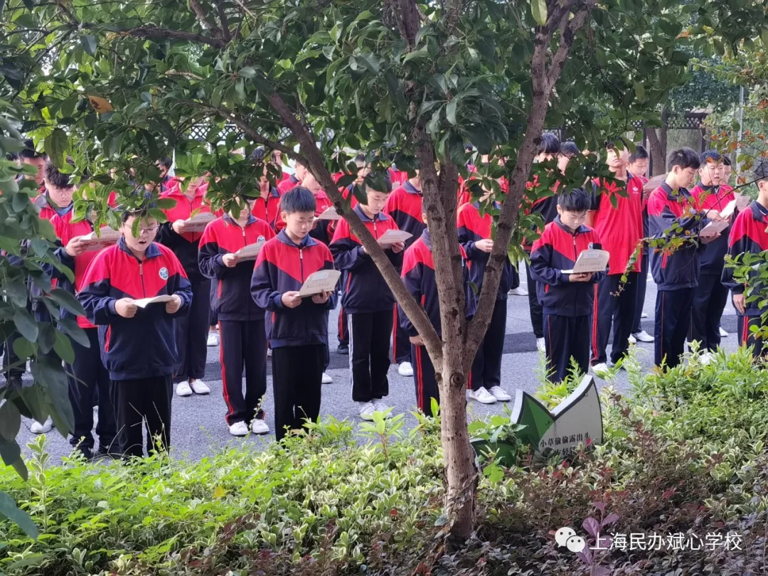 感悟斌心的早晨（二）一篇神奇的文字的神奇