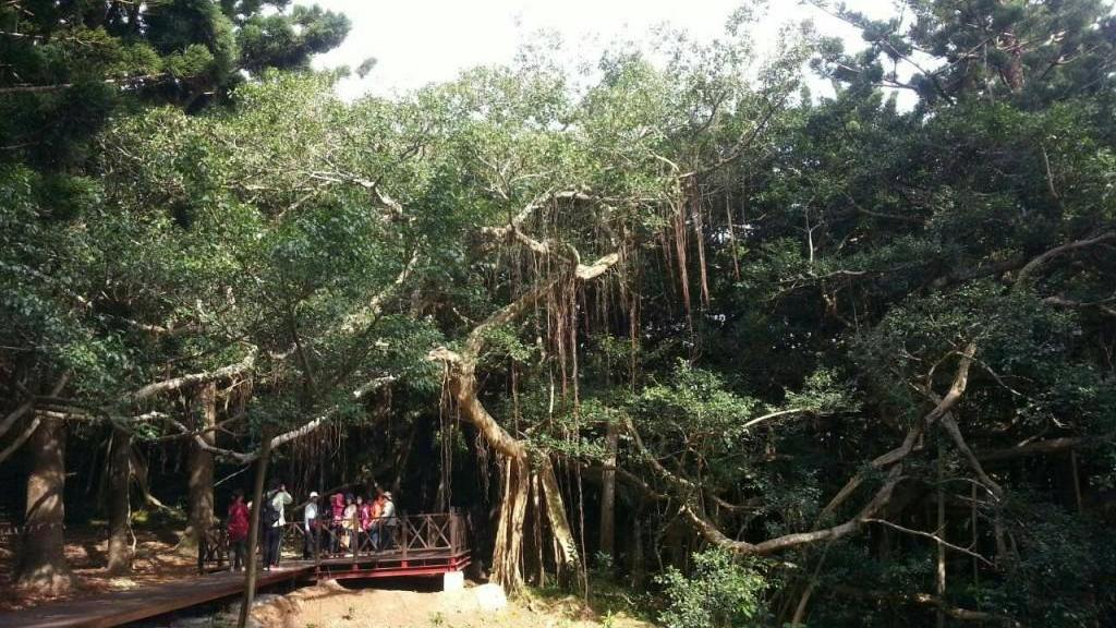 鹅銮鼻公园：宝岛最南，留下无数青春的爱恋