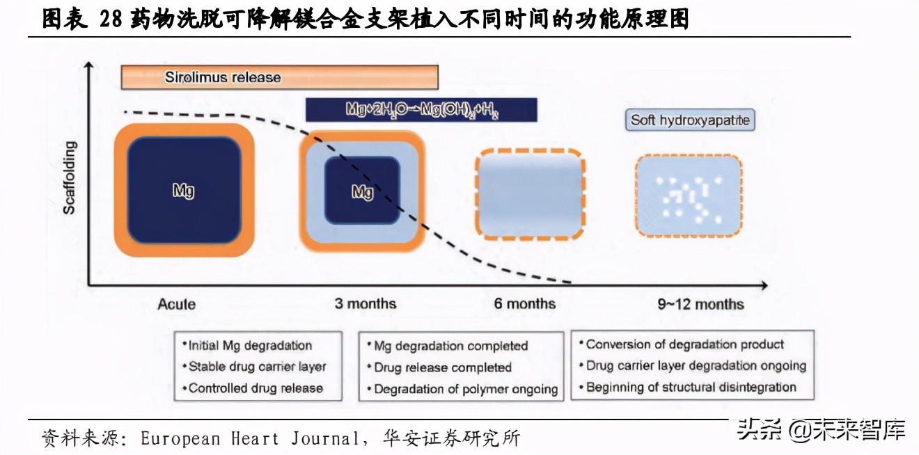 冠脉支架行业研究：拨开集采迷雾，探究冠脉支架方向