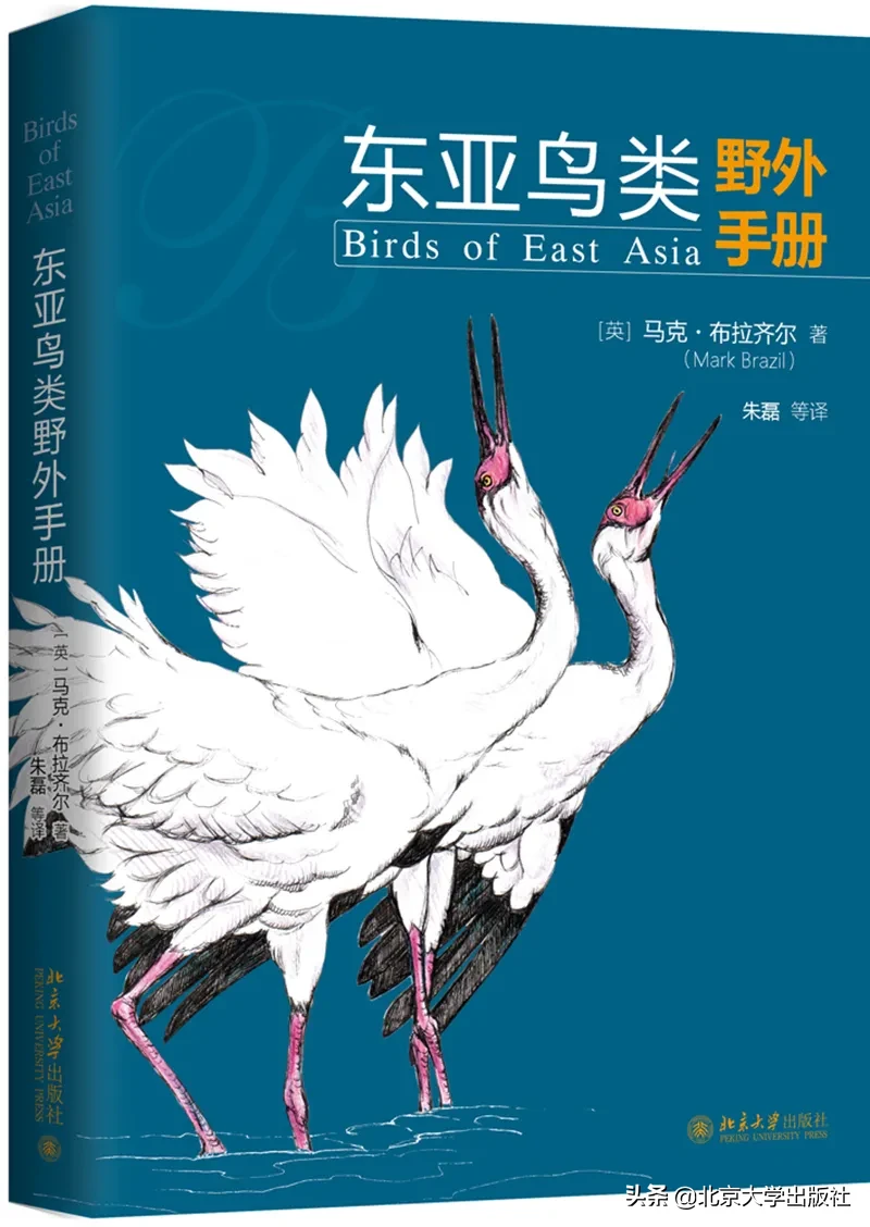 所有好奇心都值得被滿足：10本你不能錯過的科普書