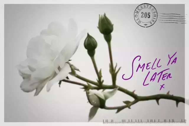 举世哗然的《杀死伊芙2.4》,究竟讲了什么?