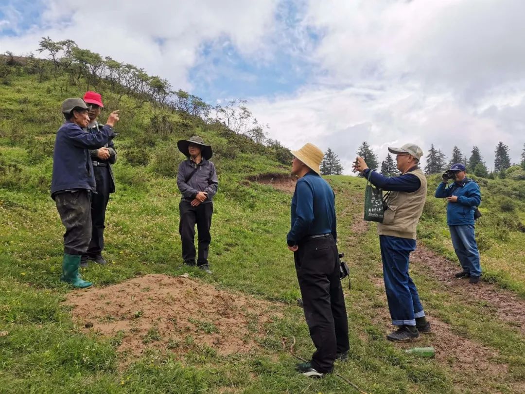 洮州边墙考察队实地考察洮州边墙土桥至下岔巴工地一段