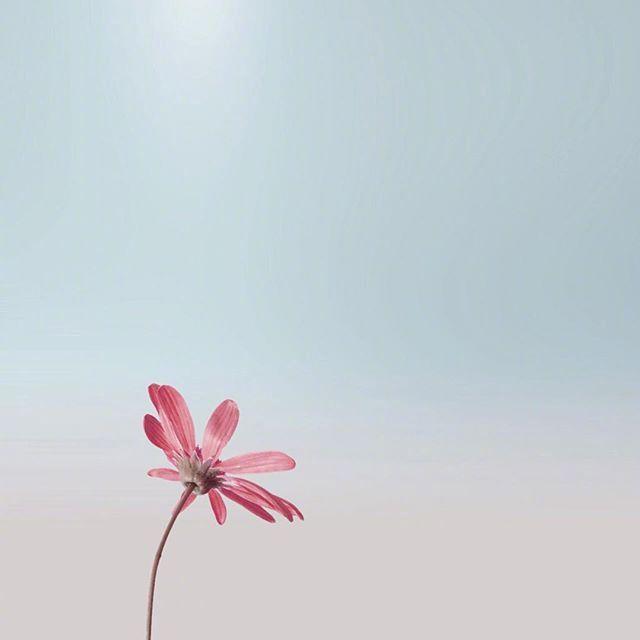 句句深入人心的经典句子  人生感悟短句 精辟图片