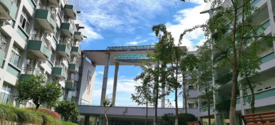 “乘风破浪”的武侯实验，让每一颗优质的种子，骄傲起来