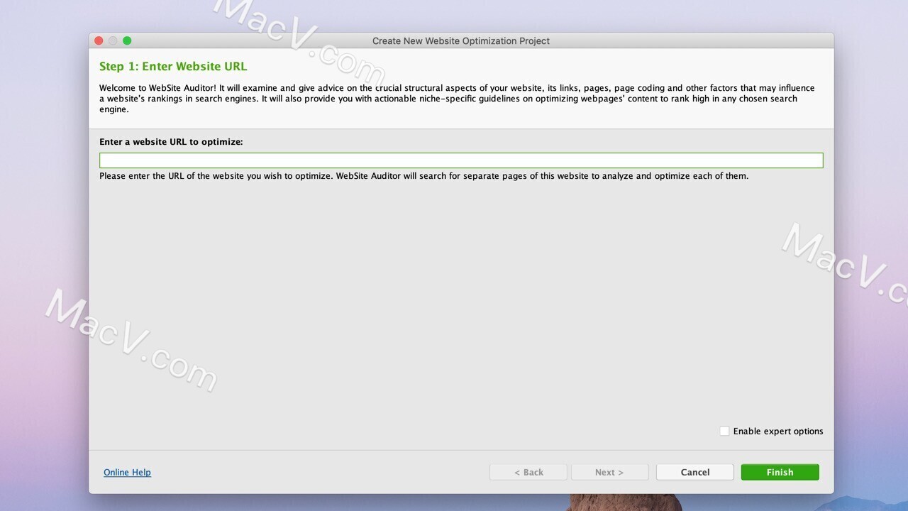Link-Assistant WebSite Auditor Enterprise for Mac網(wǎng)站優(yōu)化分析軟件