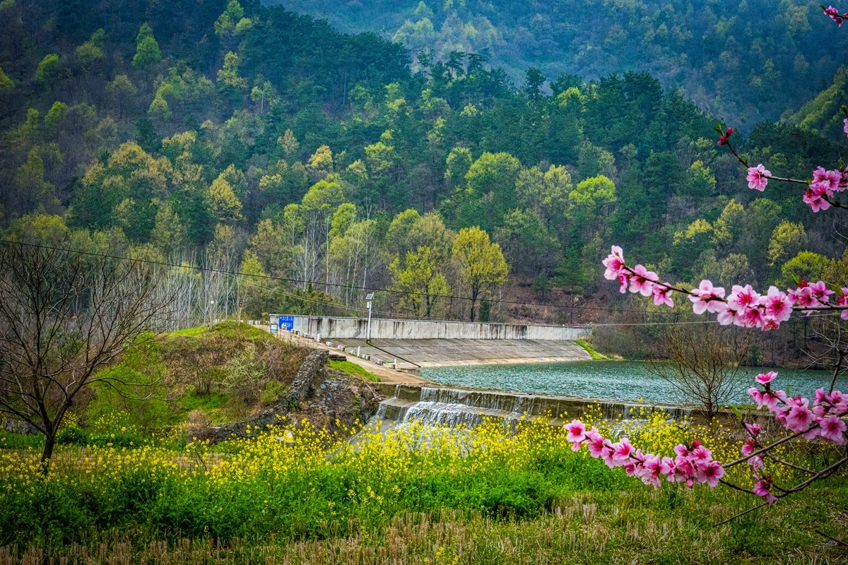 快来看！阳春三月的乡村美如画