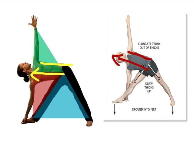 瑜伽三角式的6大要点，初学者更容易出错