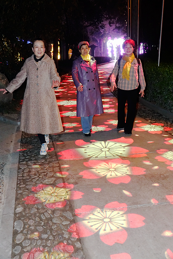 三八节的王城灯展