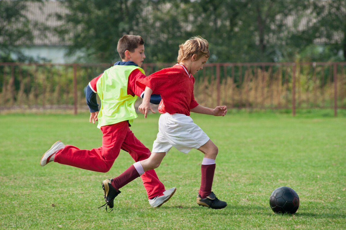 体育培训机构教务管理系统免费下载版有吗？