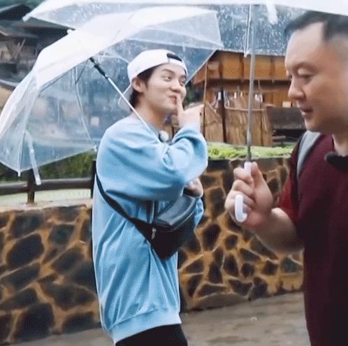 彭昱畅和何炅给西瓜苗浇水，谁注意他脚下的西