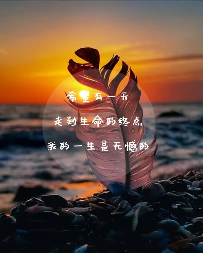 暗示不懂感恩的说说 如何讽刺忘恩负义的人图片