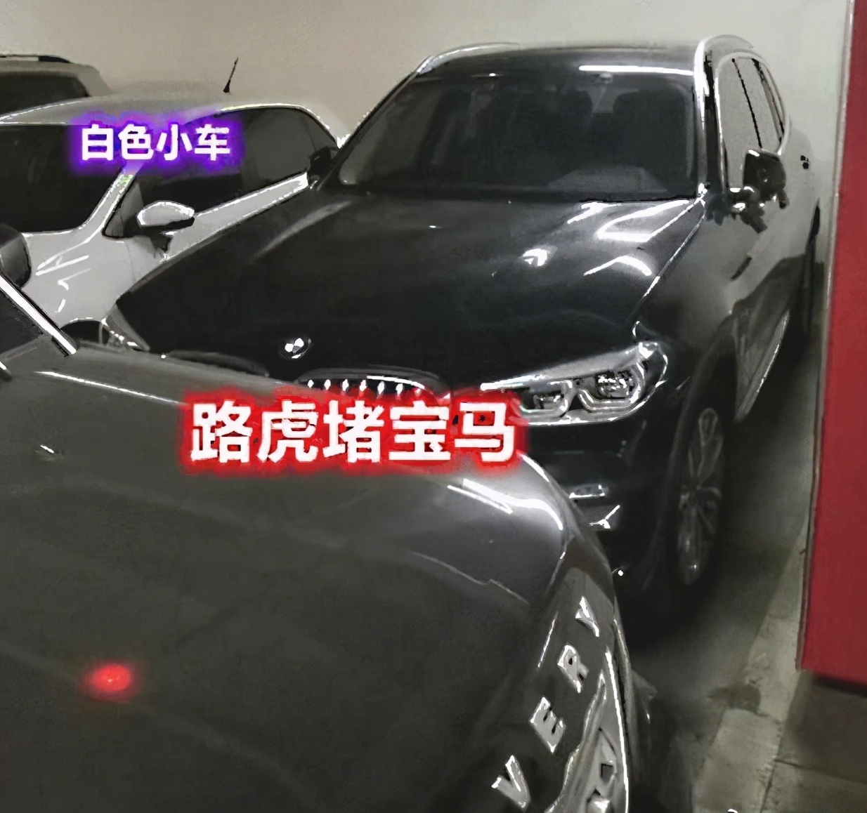 “吨姐”彻底翻车了，虚构路虎堵宝马被拘留，个人帐号被永久封禁