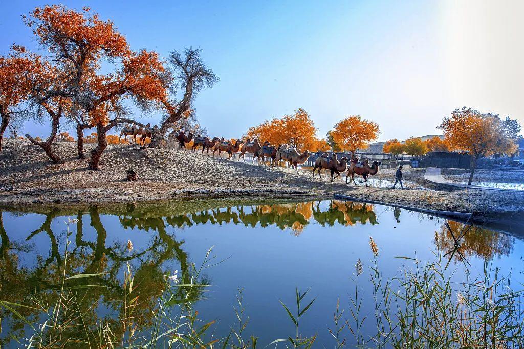 南疆之秋，不止风情，更有风景！思鹿旅行推荐