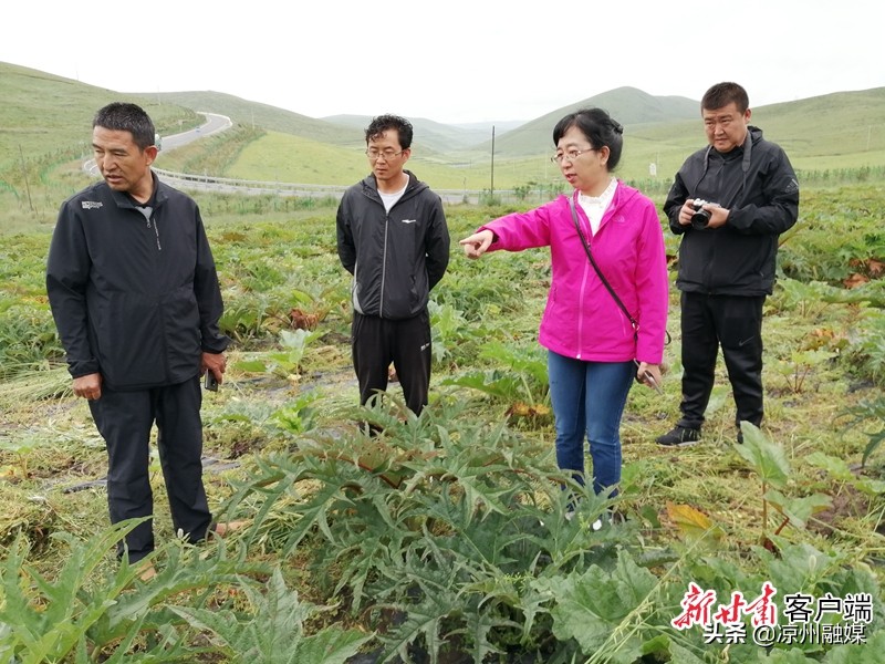 【代表委员履职故事】郭玫代表：为中医药事业发展建言献策