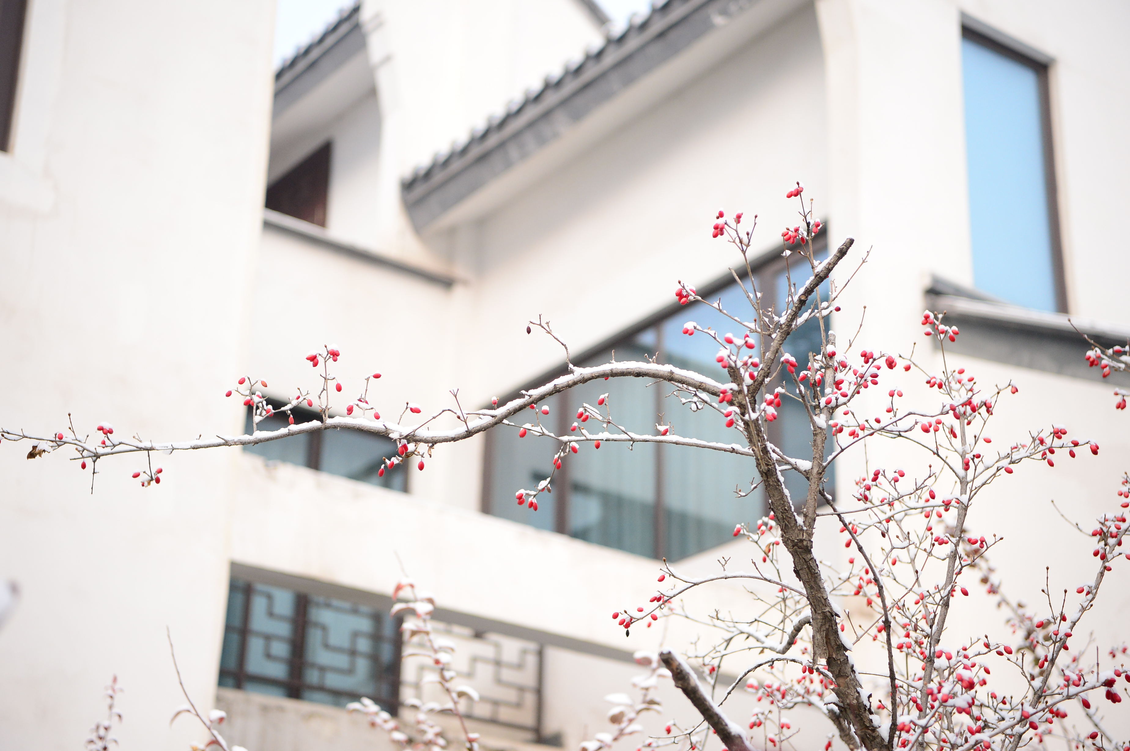 赤水湾：《雪》