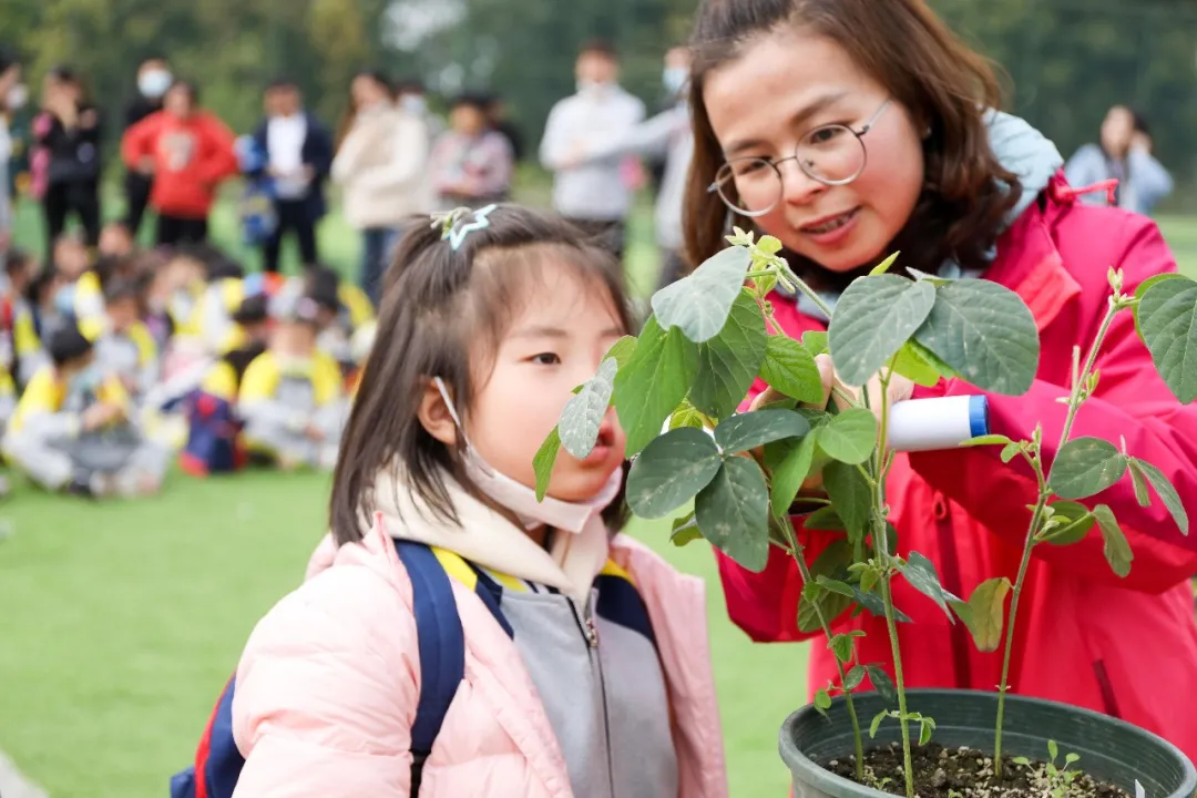 “我们”有一块地这就播种去丨天府新区元音小学劳动实践基地启动
