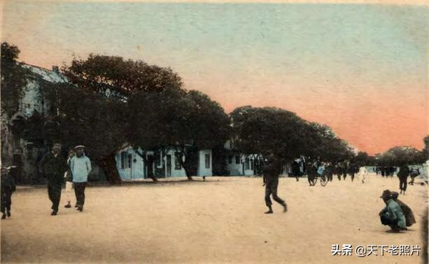 1910年代广东汕头老照片 崎碌马路、龙湫宝塔、海关街