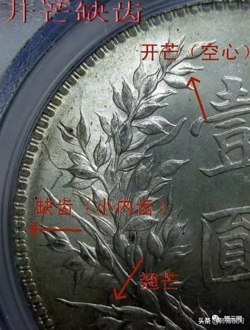 三年小嘉禾版又称三年九背