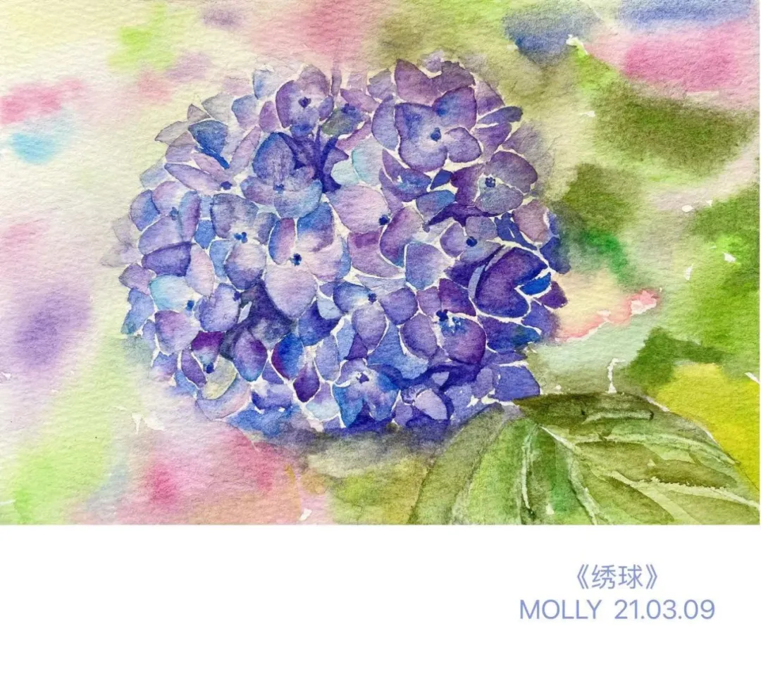 一起画画 第七期 画绣球花打卡作品集 图片版 木子小鱼 Mdeditor 一起画画 第七期 画绣球花打卡作品集 图片版 木子小鱼 Mdeditor