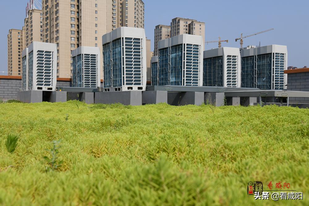 咸陽渭城中學遷址新建項目建設(shè)紀實(圖13)