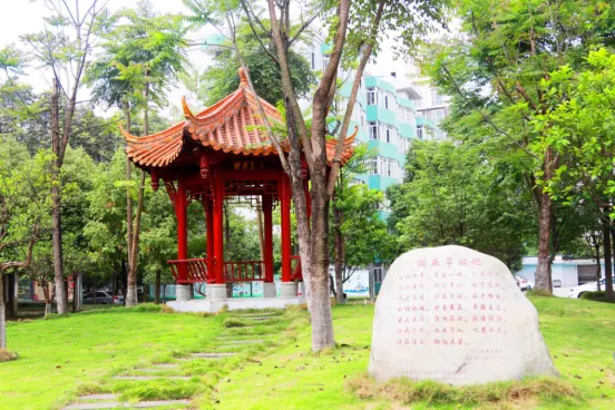 “乘风破浪”的武侯实验，让每一颗优质的种子，骄傲起来