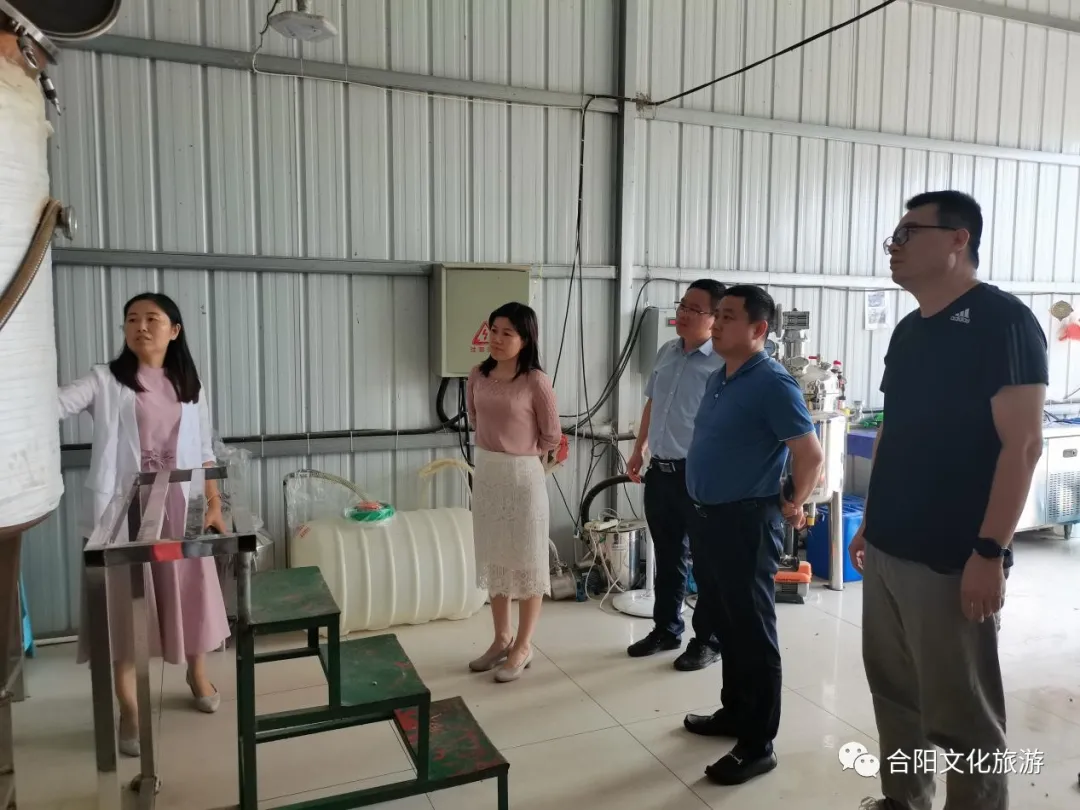 渭南市文化和旅游局來合考察 文旅產(chǎn)業(yè)“十百千”工程重點(diǎn)園區(qū)（基地） 創(chuàng)建工作