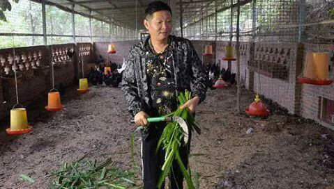 张国立带出来，小15岁的妻子是模特，为何回老家