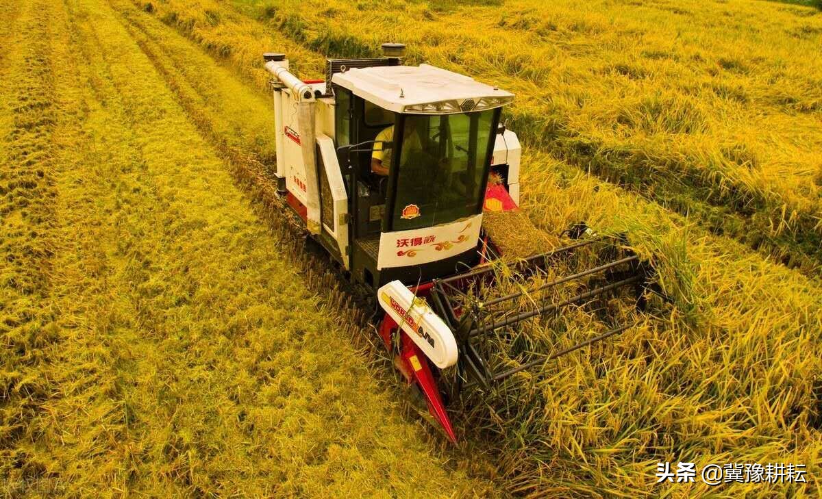 「秋分」100年难遇的秋分来了！秋分啥意思？秋分天气如何？