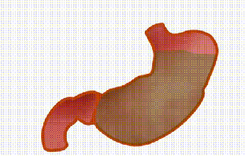 酒量大小天注定？ 喝酒前吃個饅頭就能多喝幾杯是怎麼回事？