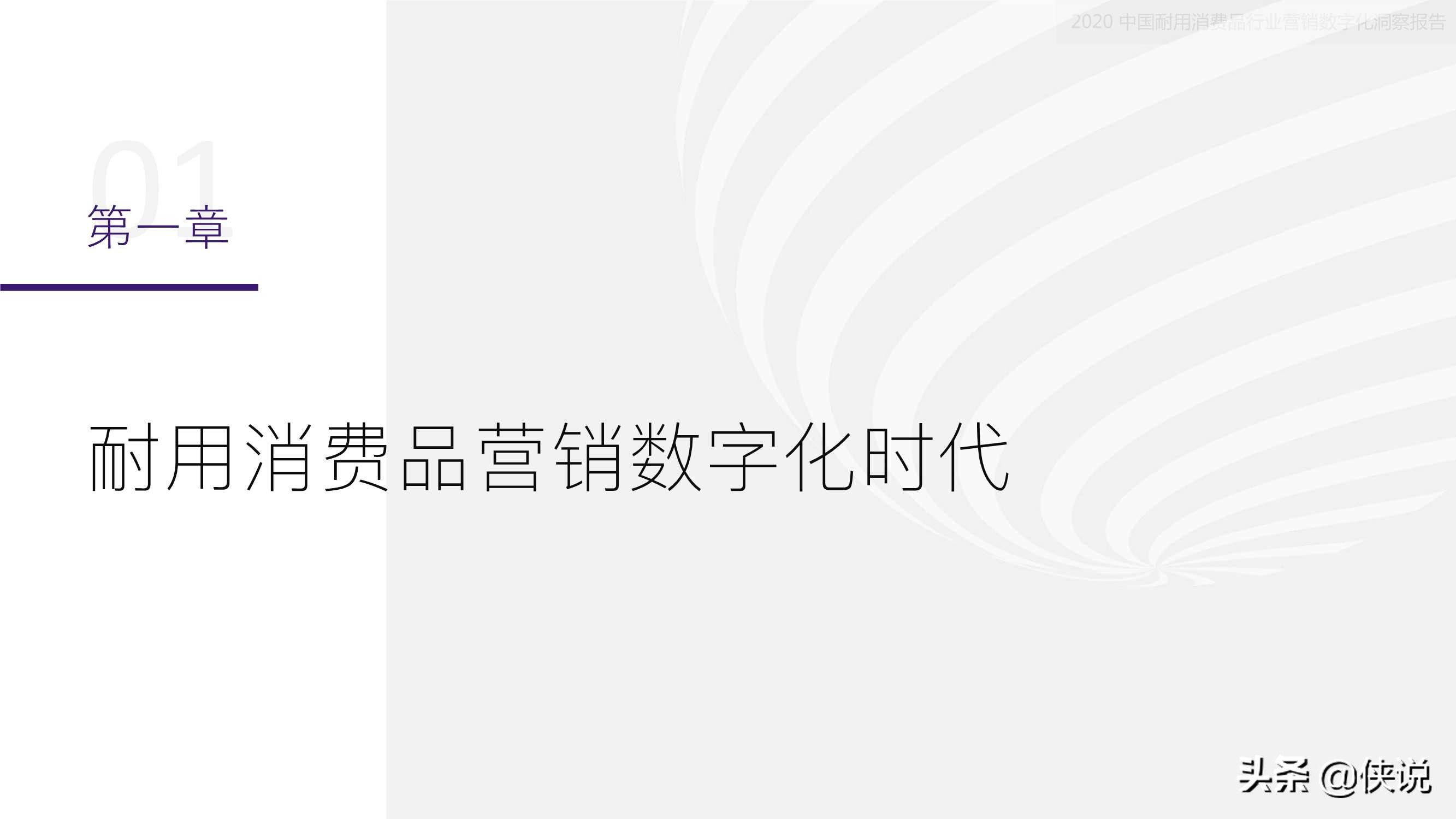 2020中国耐用消费品行业营销数字化洞察报告