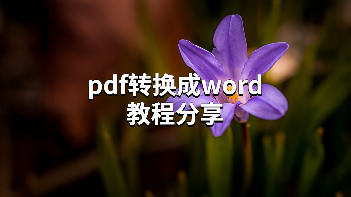 分享一刻：在线把pdf转换成word的教程