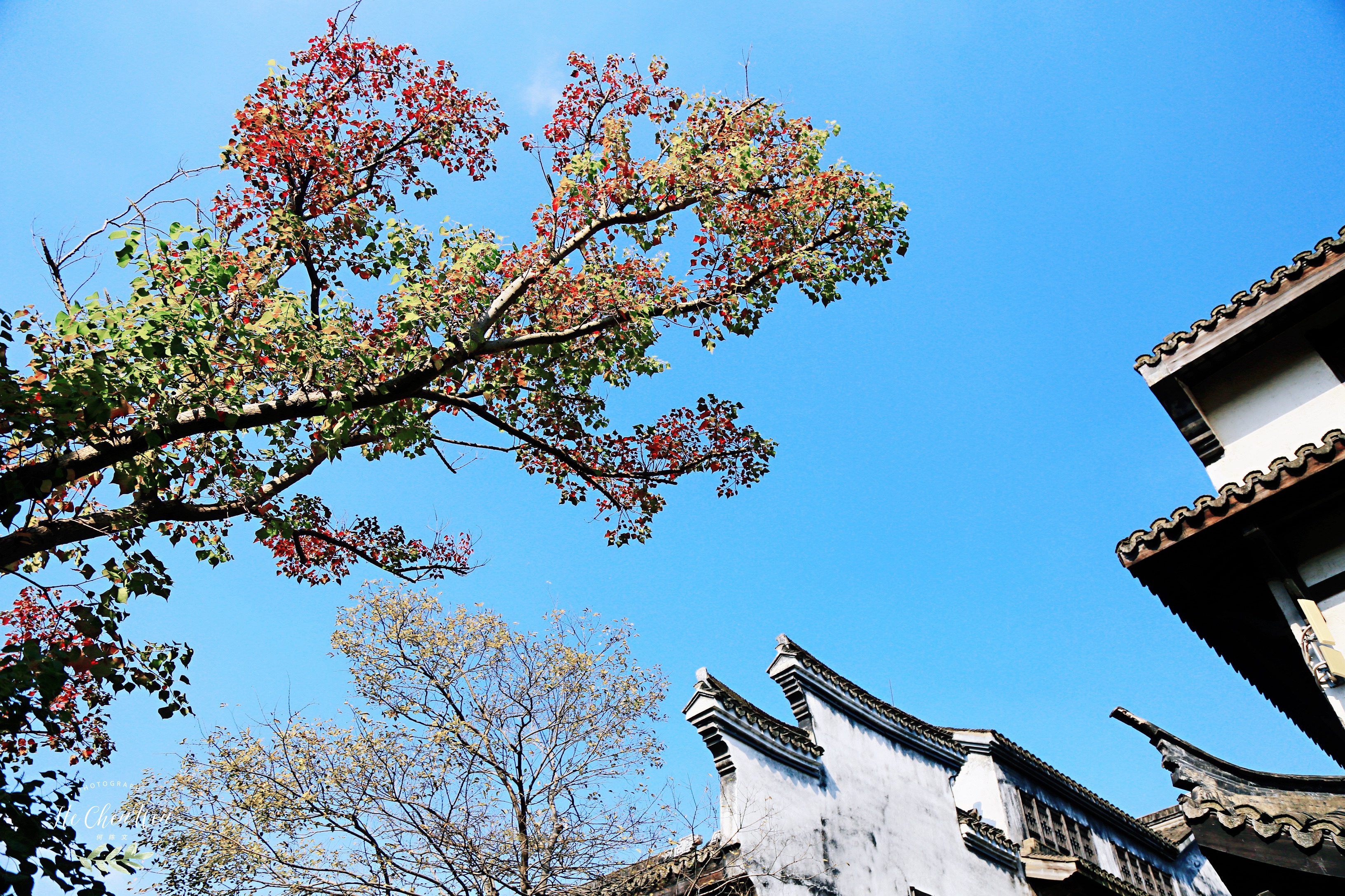 四川仿古風(fēng)貌
