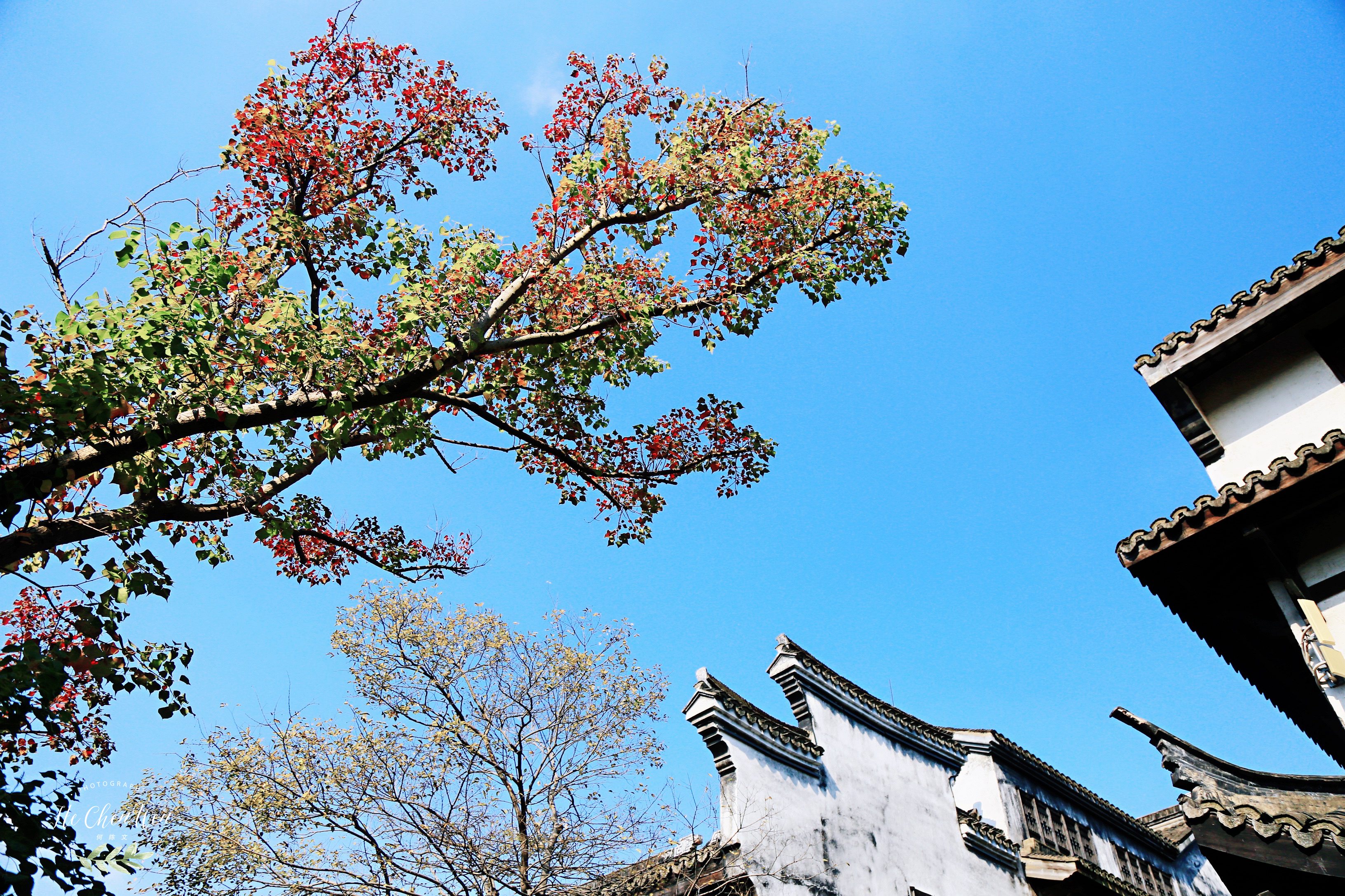 四川仿古风貌