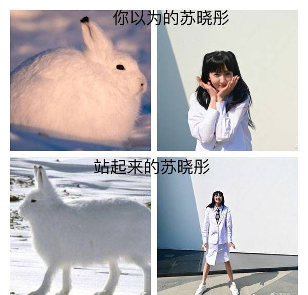萝莉脸太骗人！竟是隐形高个，看脸150看腿170，原来错怪男星矮了