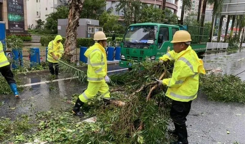 抗击“海高斯”｜为逆风而战的爱墨人点赞