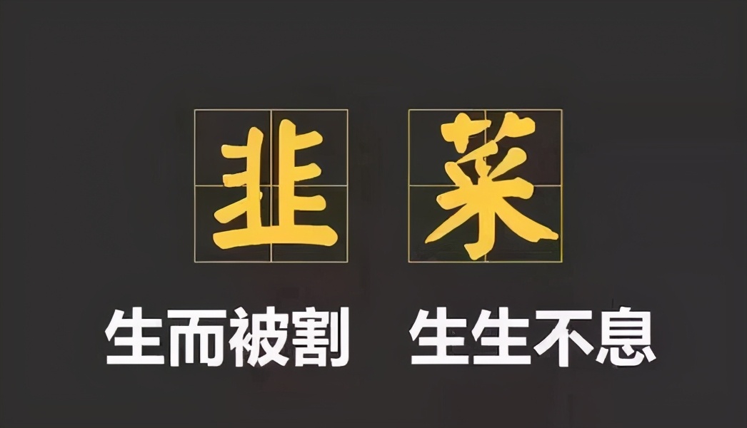 “韭零后”还在盲目买基金？收藏这8本理财书，赚钱不是梦-第2张图片-农百科