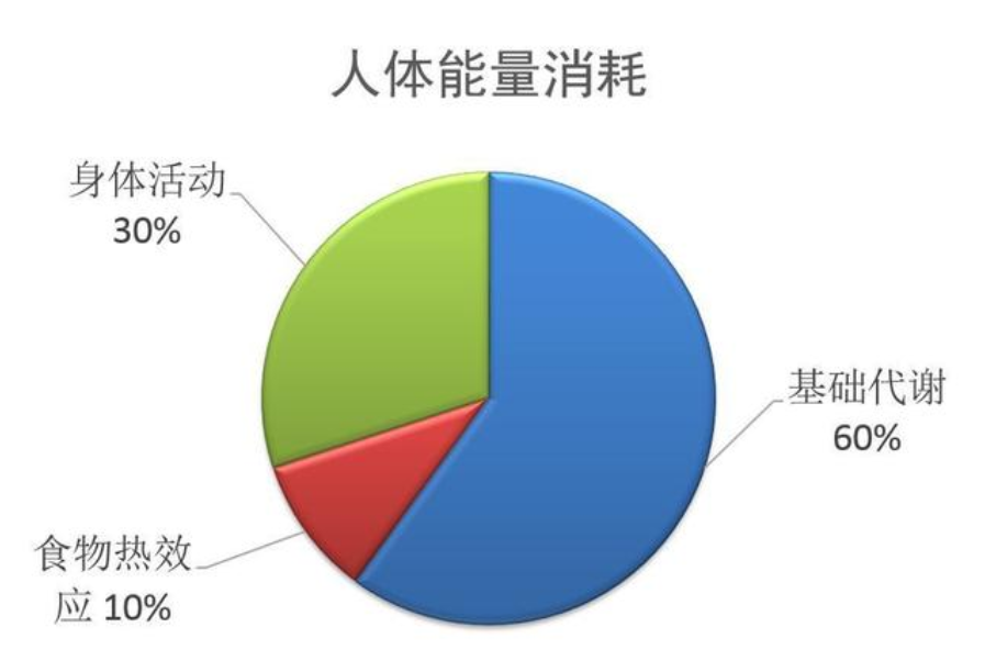 代謝下降導致中年易發福！做到這3點，讓你保持瘦身材、抵抗衰老