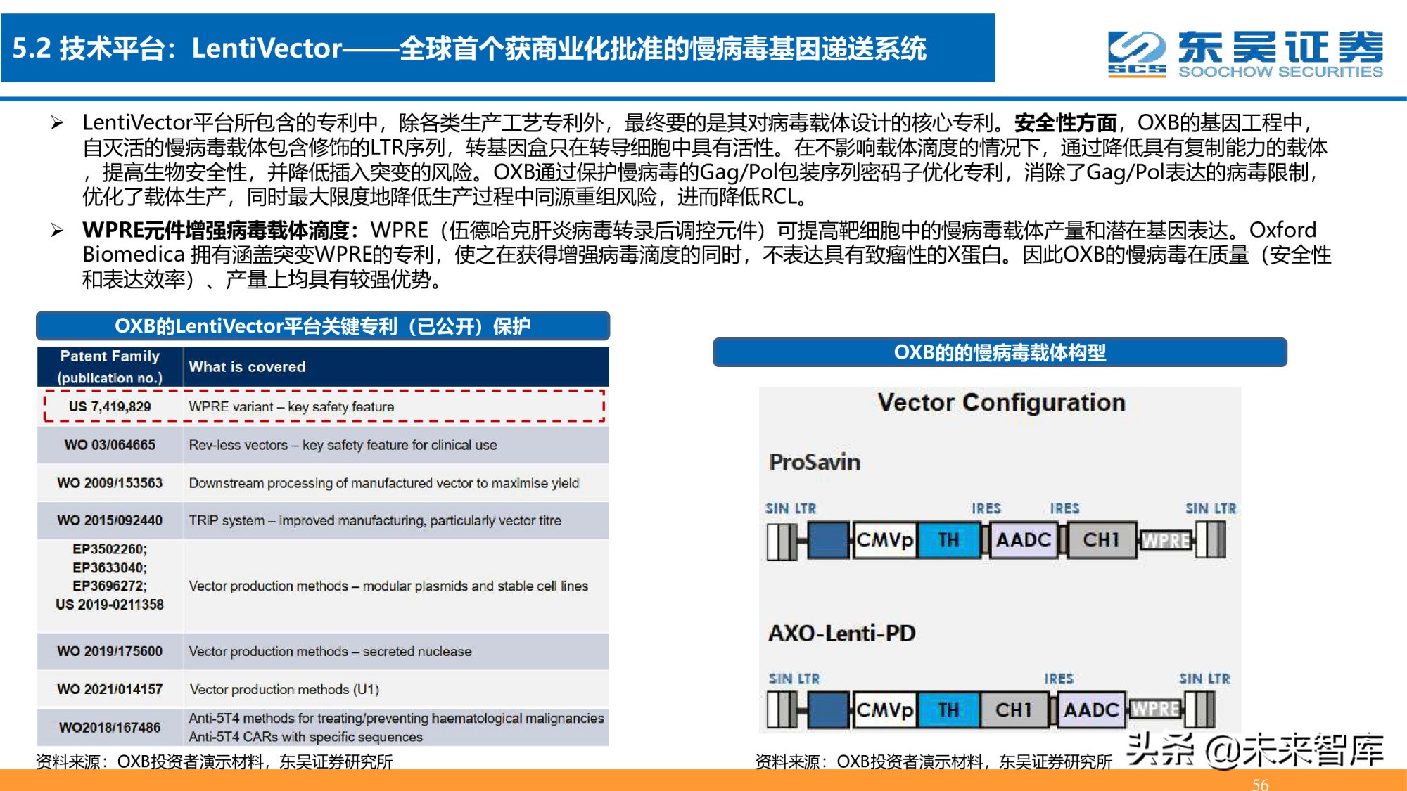 细胞基因治疗CDMO行业深度报告：星火已成燎原势