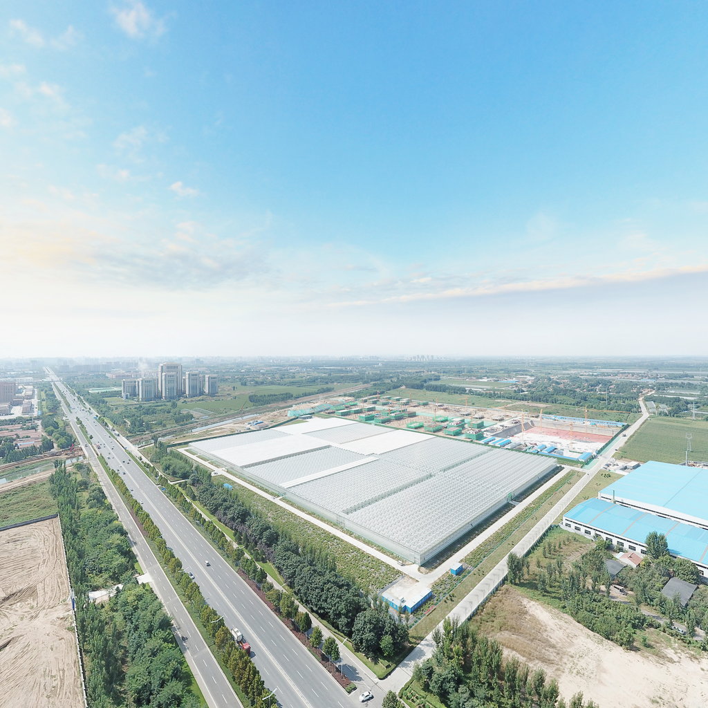 可以获得补贴的现代化连栋温室大棚可以做什么？一亩地造价多少