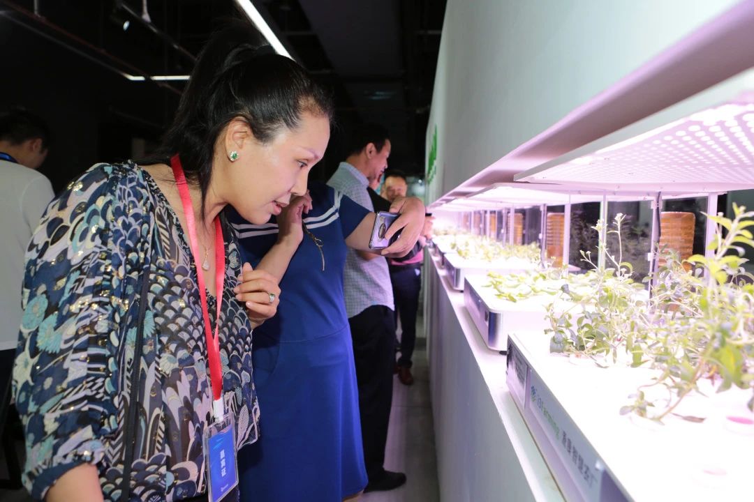 中国企业新领袖学院广东研学之旅圆满结束