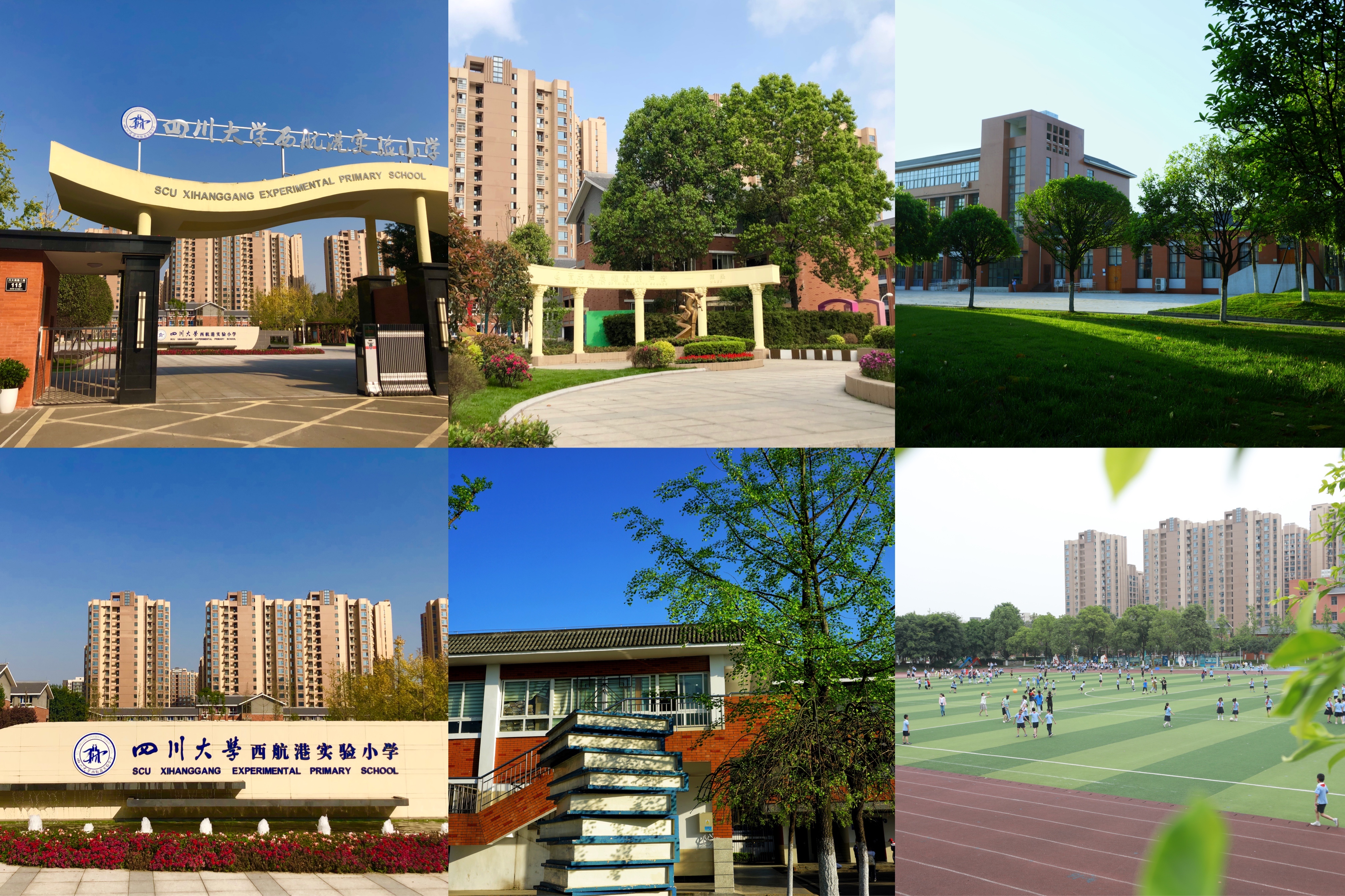 四川大学西航港实验小学丨让每一朵花炫出自己的色彩