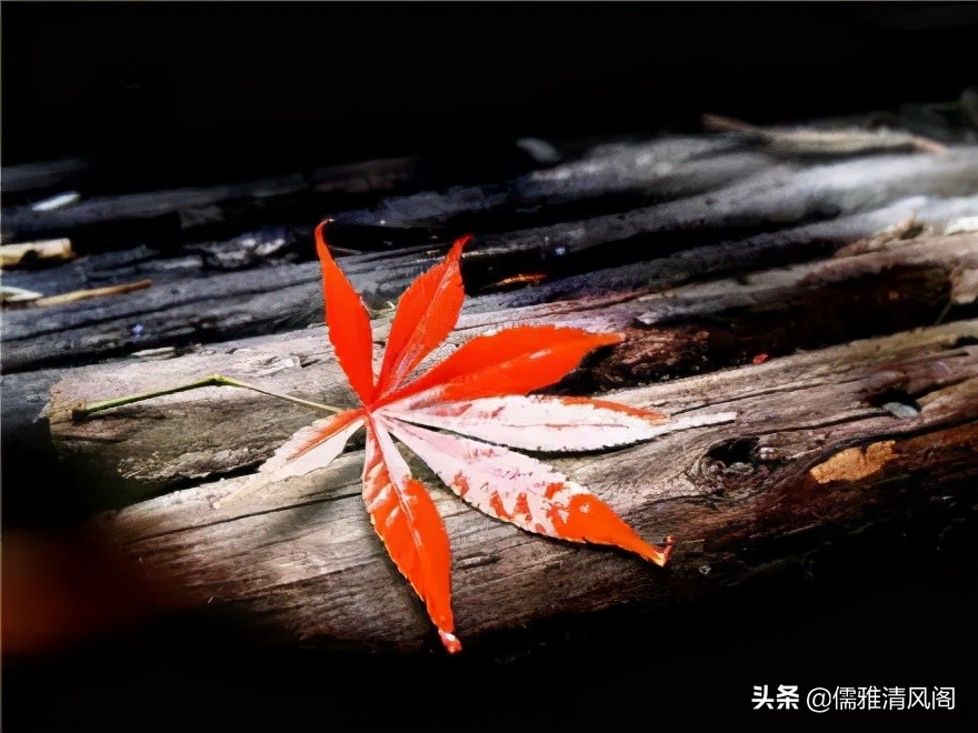 散文诗：我若离去，你是否在意-第3张图片-非凡网