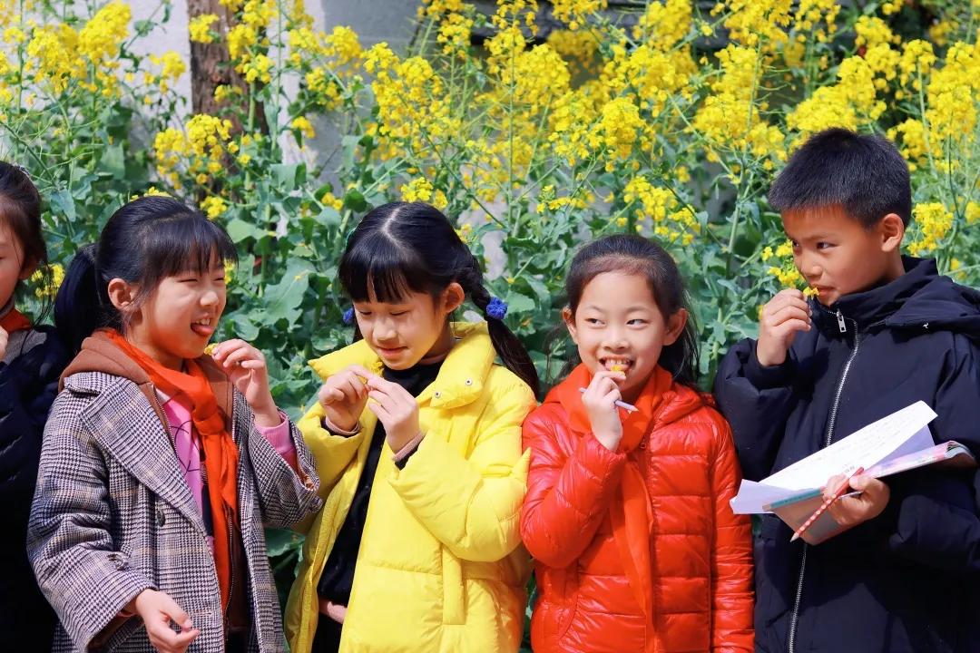 带上五官到校园里寻找春天——成都市华中附小大自然的语文课