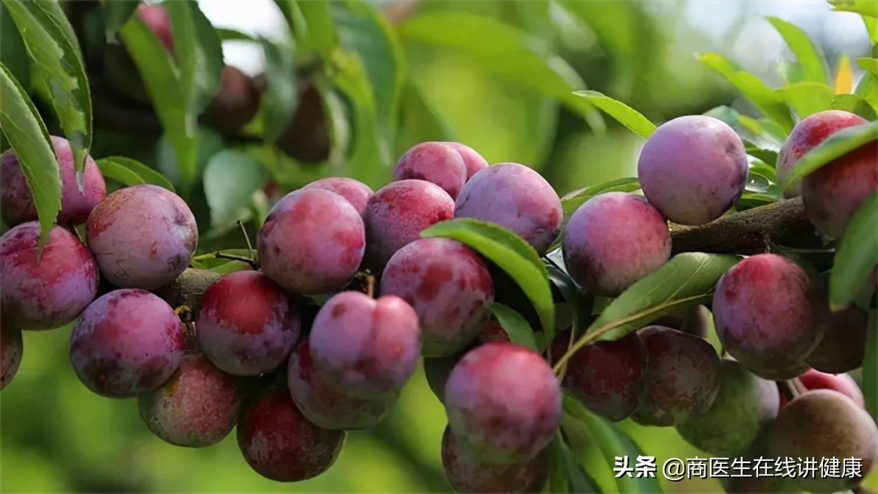 哪些水果降糖最快降血糖吃什么水果最好最有效