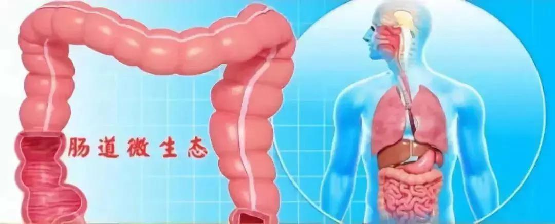 多吃香蕉能通便？ 可能會更�堵�！ 試試這五招，讓你排得舒暢